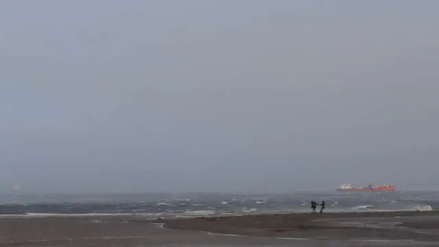 Pololos al viento