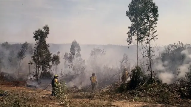 Brigadistas en Pupuya