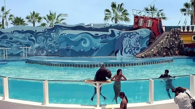 El beso del lobo