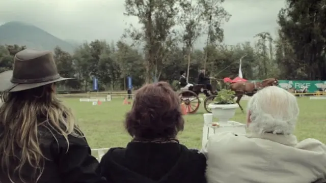 Vida social: campeonato de carrozas