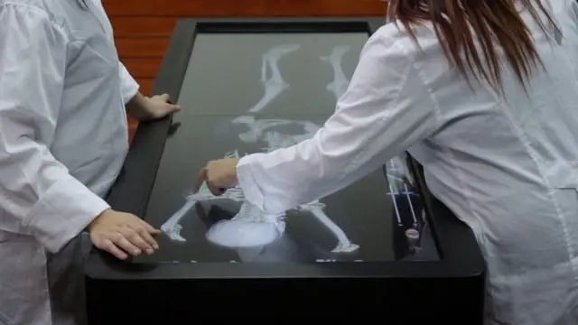 Lección de anatomía