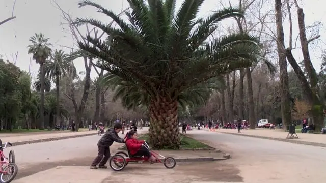 Escuela MAFI: Triciclo en pana