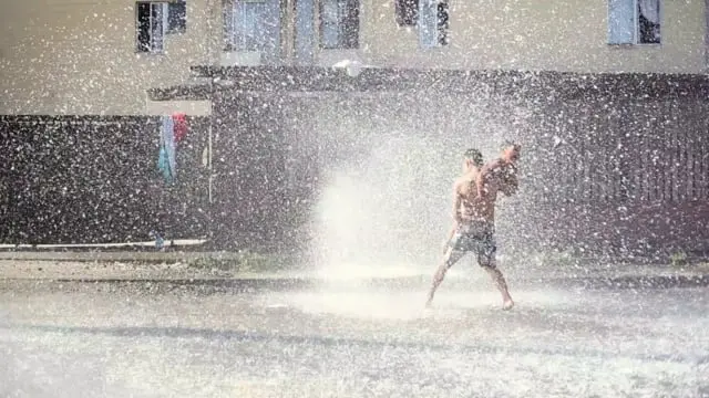 Grifo de Verano